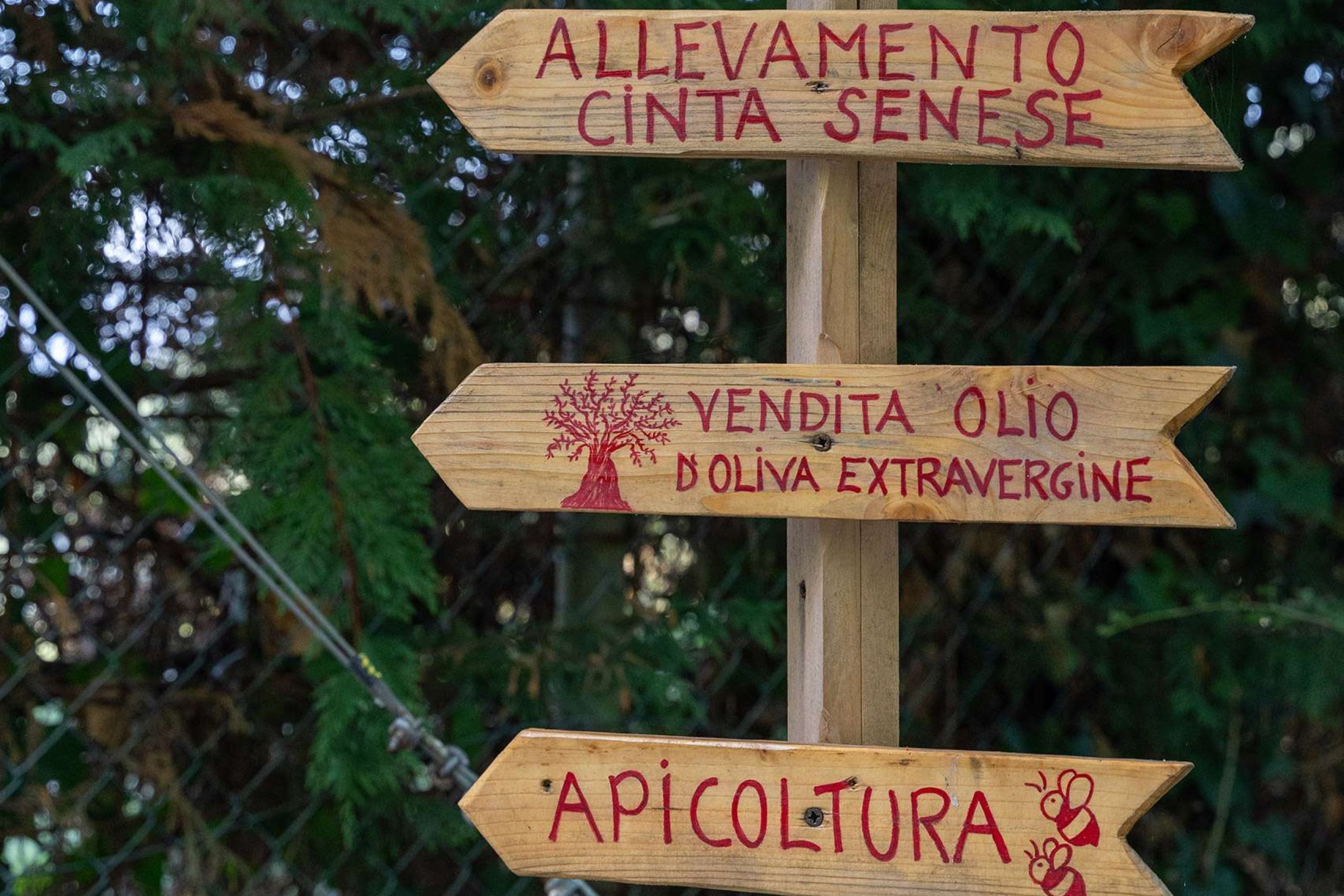 cartelli all ingresso