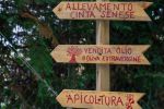 cartelli all ingresso