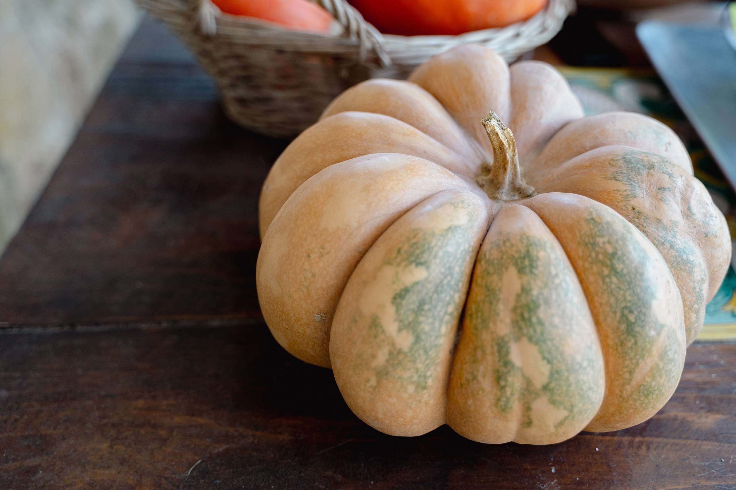 zucca raccolta nel podere il corbezzolo